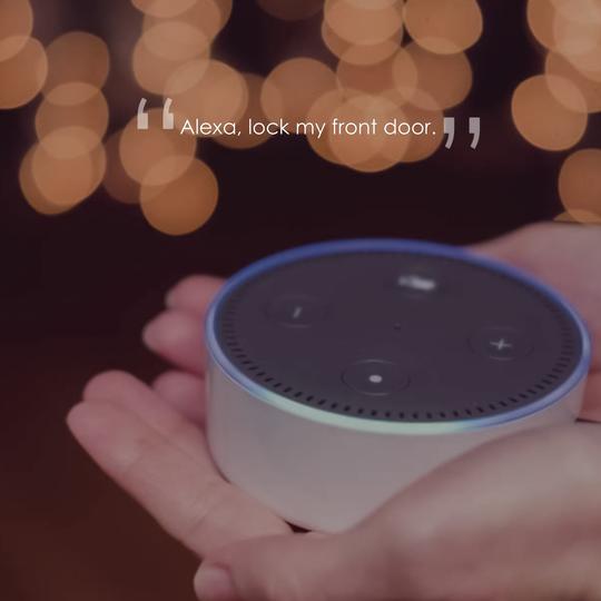 Amazon Alexa Smart Lock